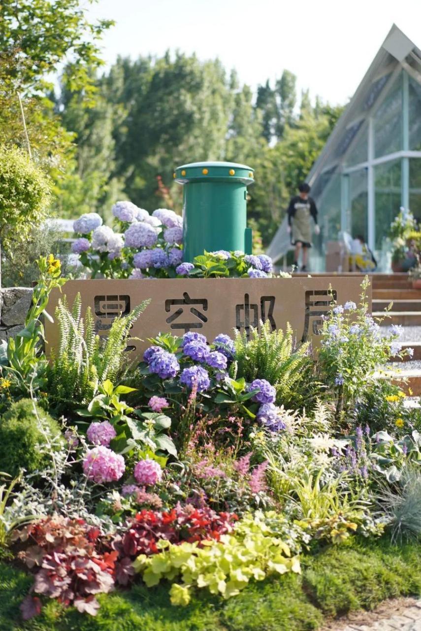乡村采摘的农产品 乡村采摘的农产品