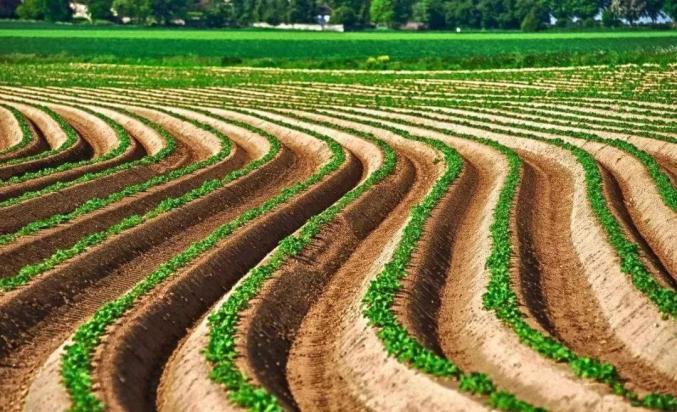 农村轻资产加工