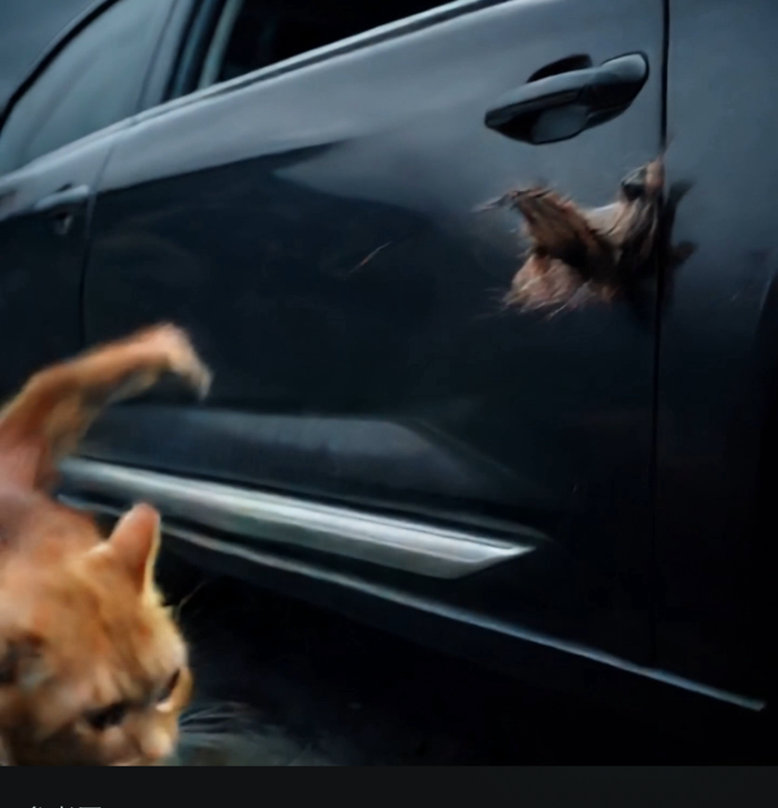 抖音课程分销 抖音课程分销