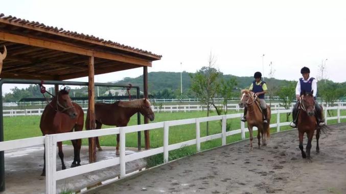 农村轻资产加工