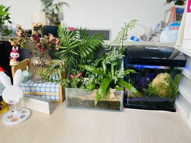 百元工位