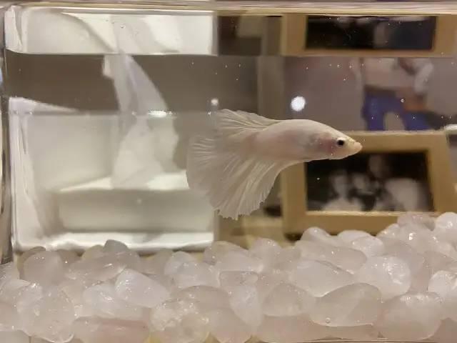 百元工位