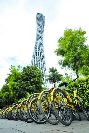 在广州运营的共享单车。 在广州运营的共享单车。