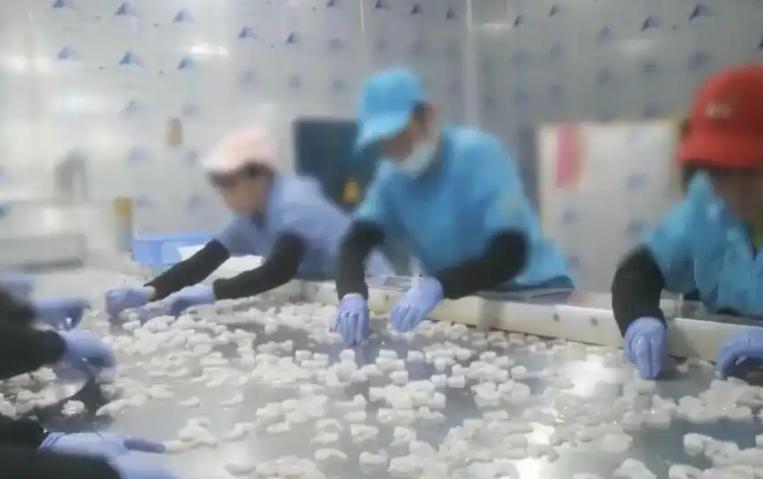 离谱产品曝光