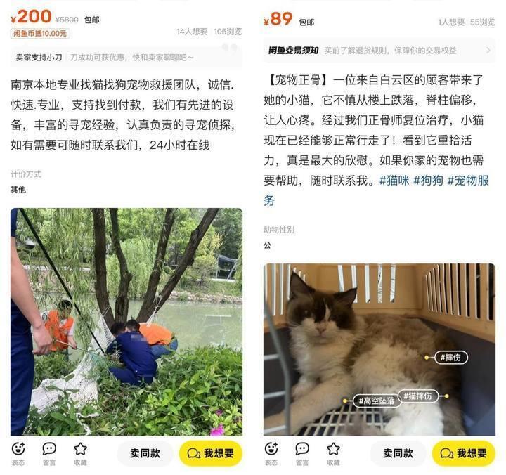 职业变现