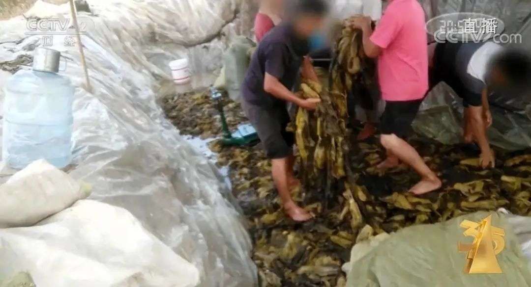 食品直播带货风险