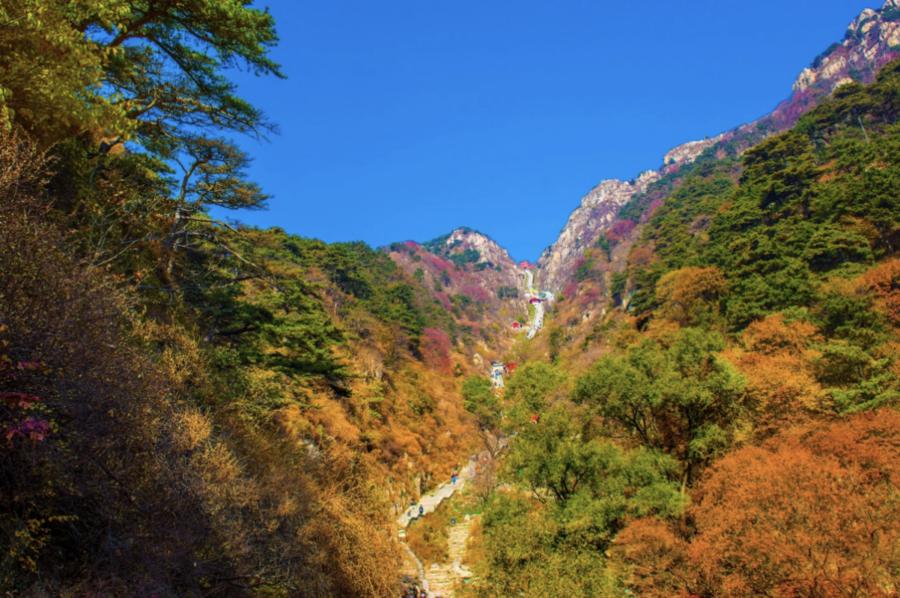 乡村采摘的农产品 乡村采摘的农产品