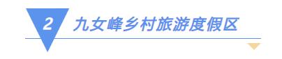 乡村采摘的农产品 乡村采摘的农产品