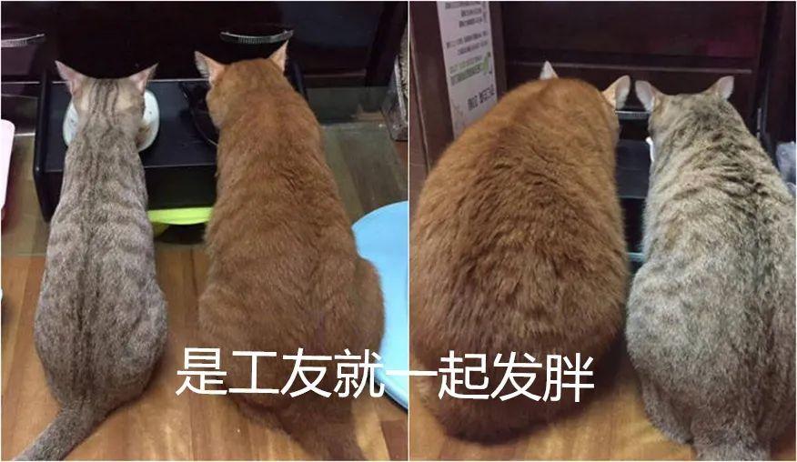 百元工位