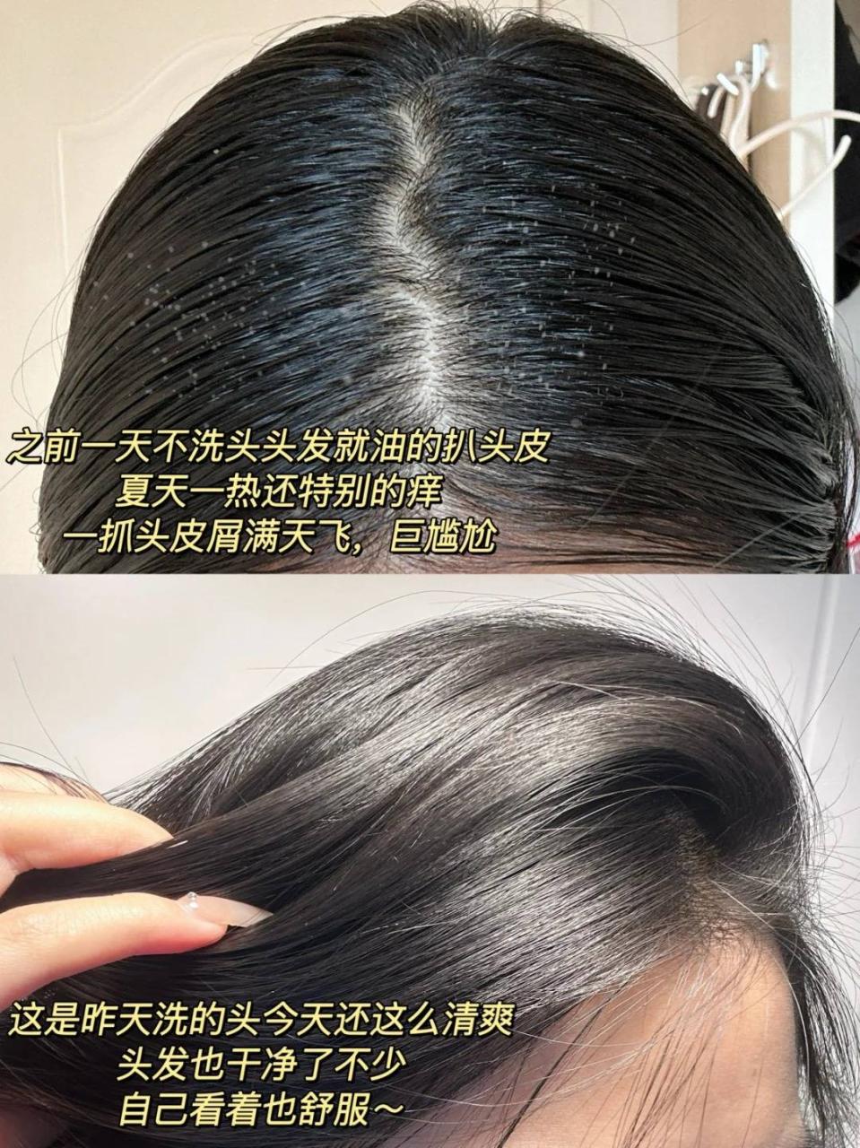 选洗发水选哪种更好 选洗发水选哪种更好