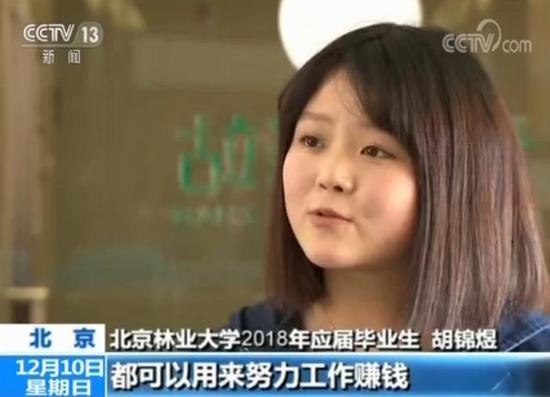 懒就业和升学热现象