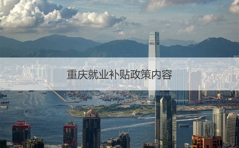 就业见习补贴