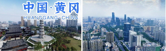 征信看网贷信息