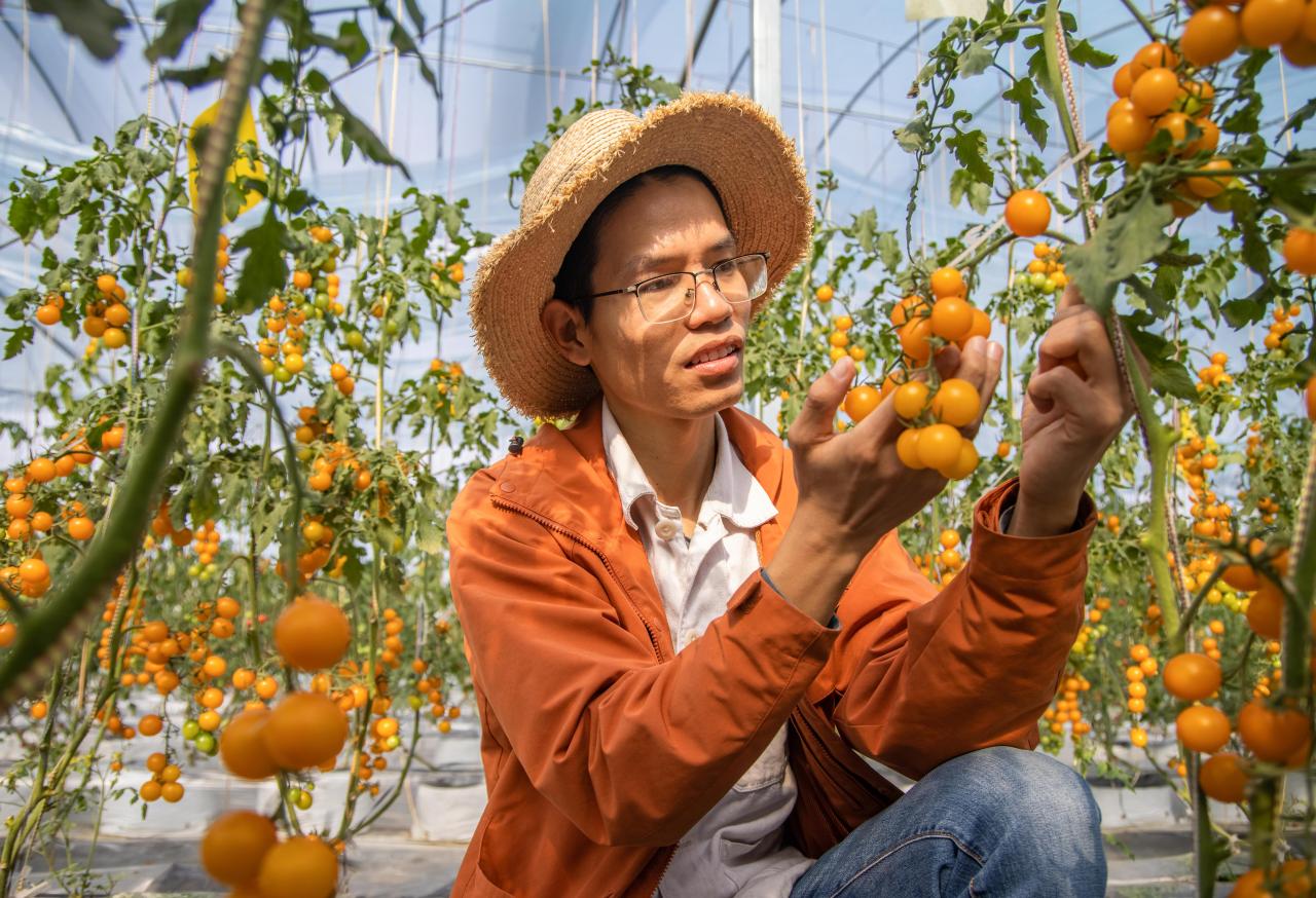 返乡创业有哪些扶持政策