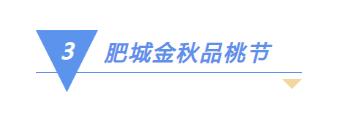 乡村采摘的农产品 乡村采摘的农产品