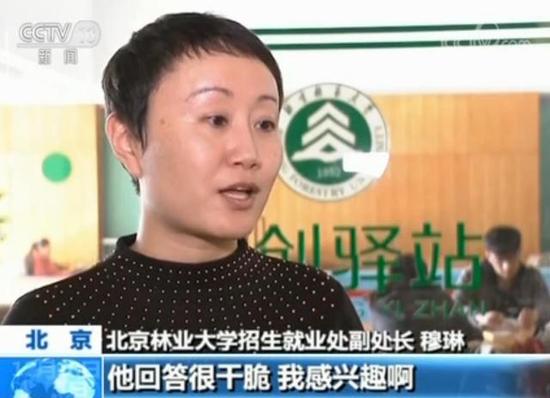懒就业和升学热现象