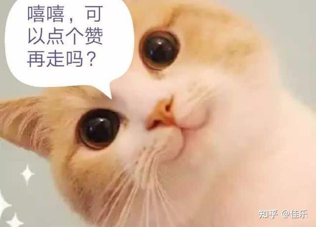 智能回收终端创业