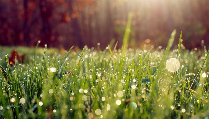 58好借可以延期还款吗 58快借逾期多久会被起诉