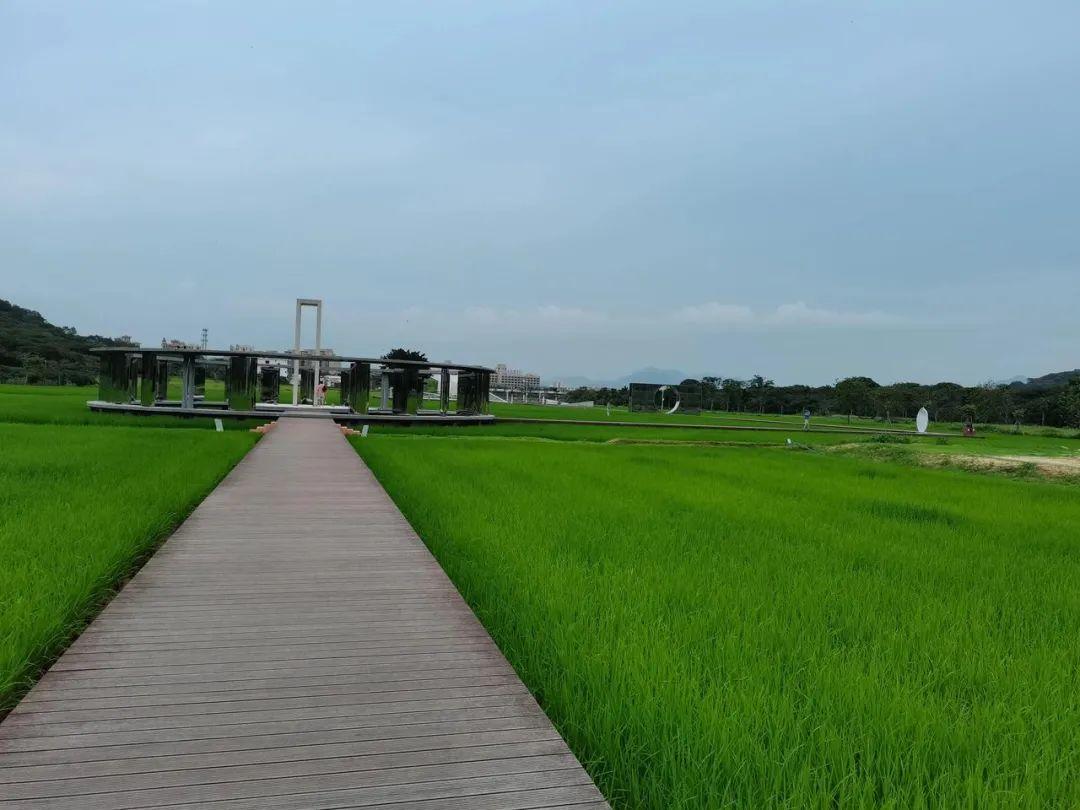 中国现在会发展农村吗 中国现在会发展农村吗