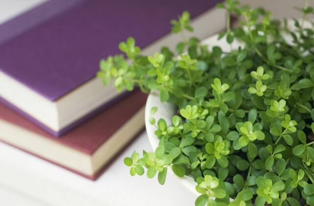 适合女性一人开的店 适合女性一人开的店