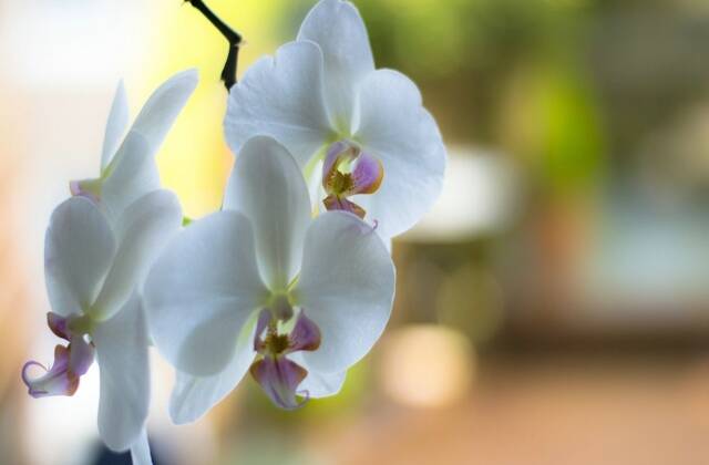 适合女性一人开的店 适合女性一人开的店