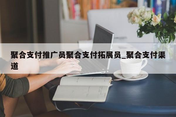 聚合支付推广