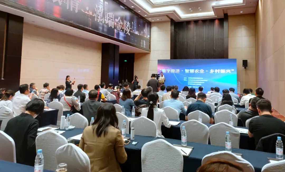 分享经济成功的案例