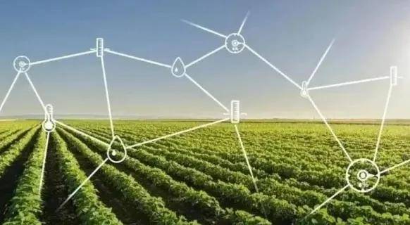 未来有稳定的收入吗