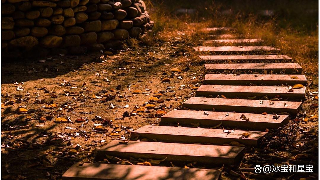 信息差猎手 信息差猎手