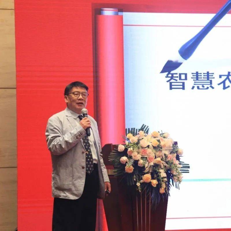 分享经济成功的案例