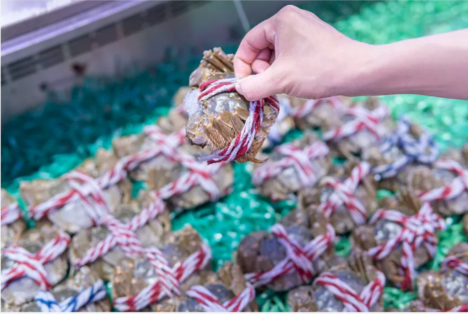 刚死螃蟹能否食用 刚死螃蟹能否食用