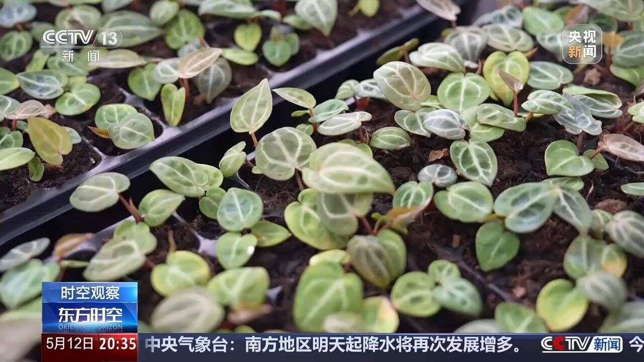 消费是为了获得情绪价值 消费是为了获得情绪价值