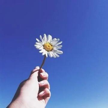 什么文案容易上热门