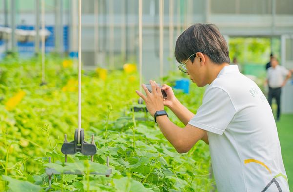 青年新农人 青年新农人