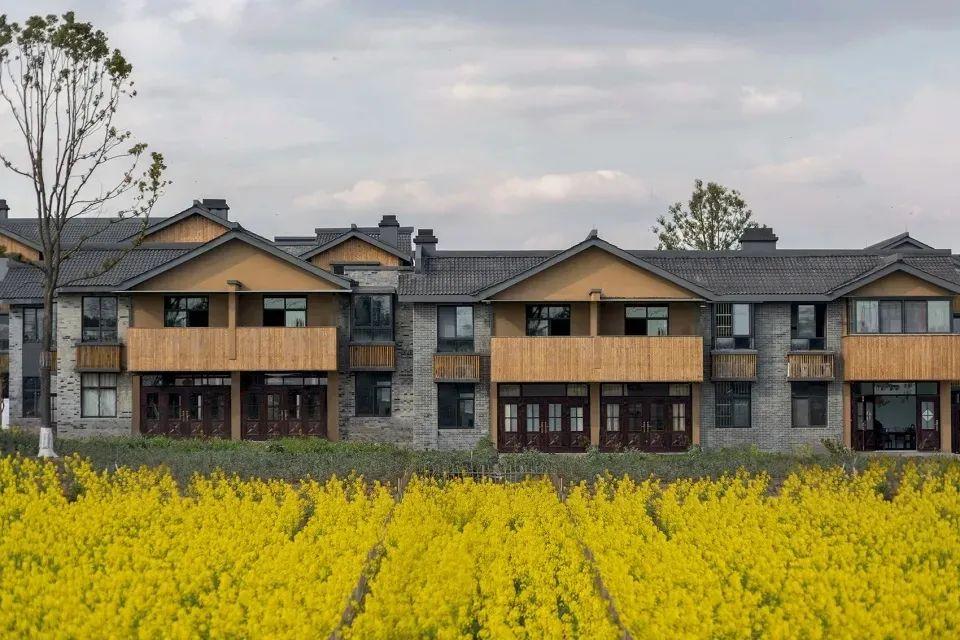 中国现在会发展农村吗 中国现在会发展农村吗