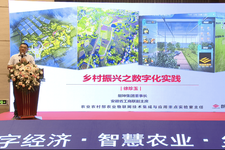 分享经济成功的案例