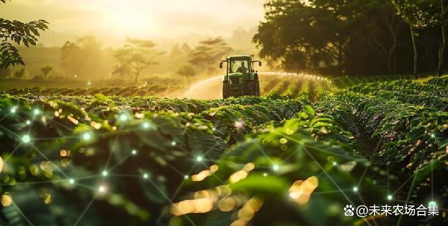 中国现在会发展农村吗