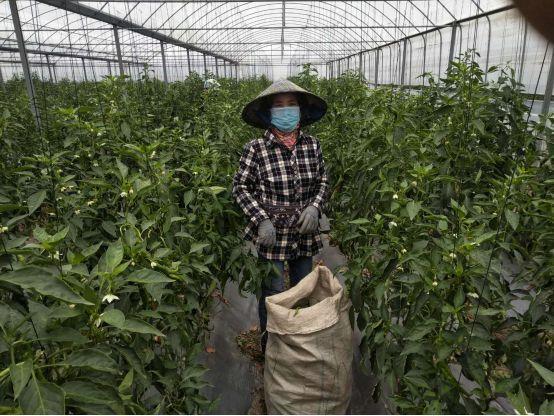 台青农拎包创业 台青农拎包创业