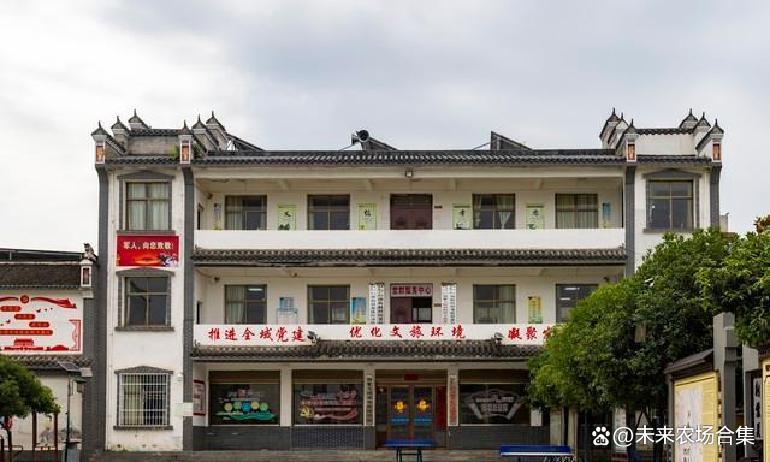 中国现在会发展农村吗