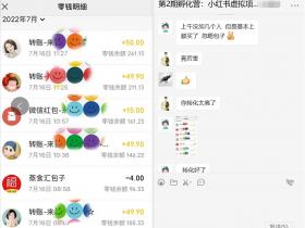 新手如何在小红书卖虚拟资料，冷门项目玩法教学