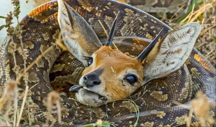 信息差猎手 信息差猎手