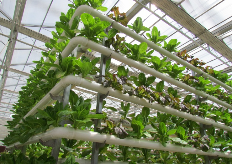 中国现在会发展农村吗 中国现在会发展农村吗