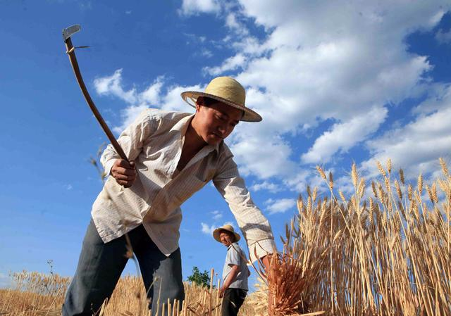 中国现在会发展农村吗 中国现在会发展农村吗