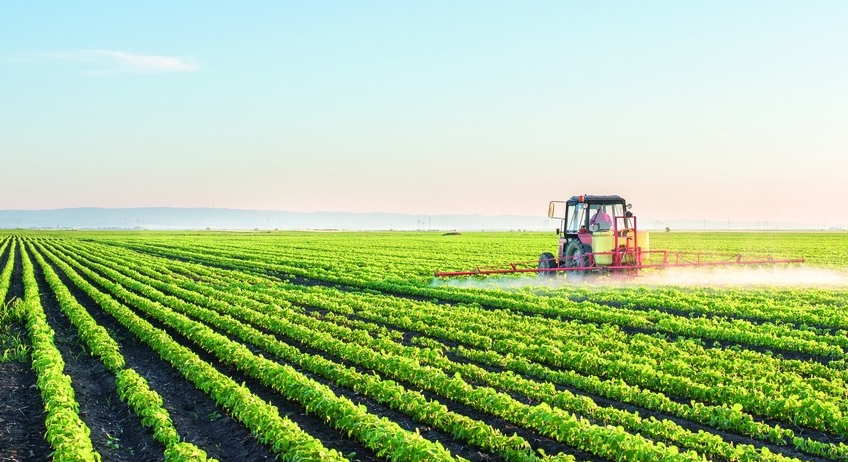 中国现在会发展农村吗 中国现在会发展农村吗