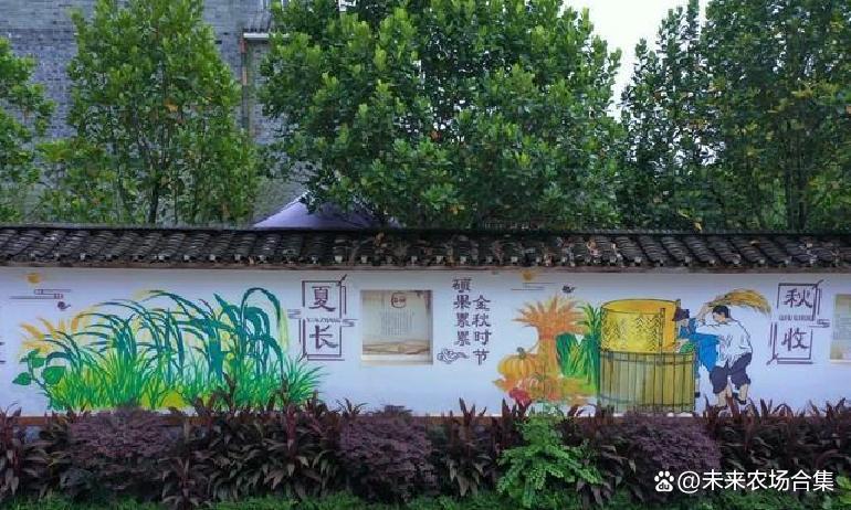 中国现在会发展农村吗