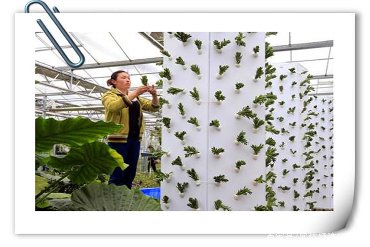 40岁学什么技术最有前景