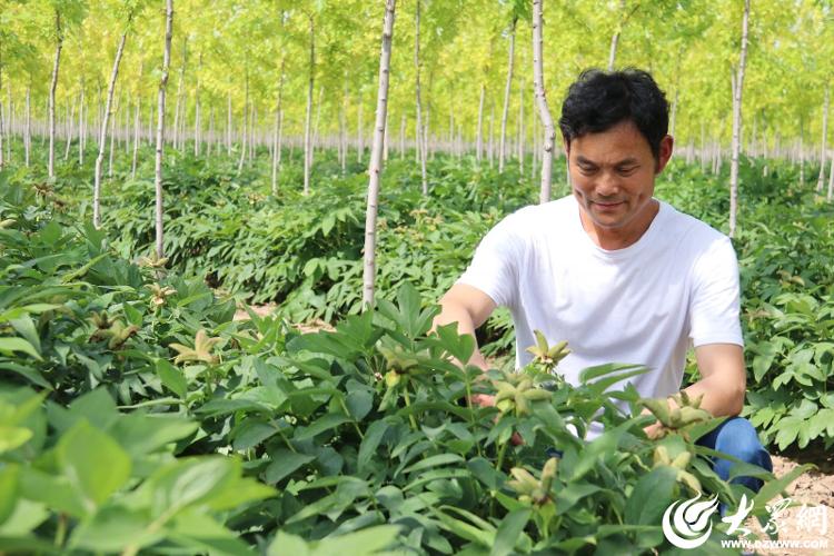 乡村合伙人 乡村合伙人