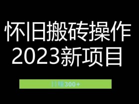 新手如何在小红书卖虚拟资料，冷门项目玩法教学
