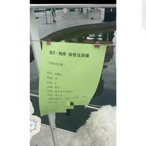 年轻人涌入小众副业