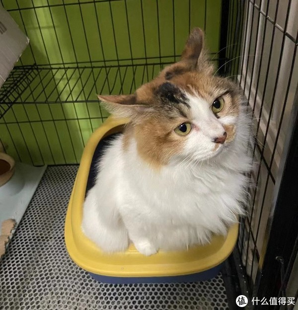 打工人必备好物 打工人必备好物